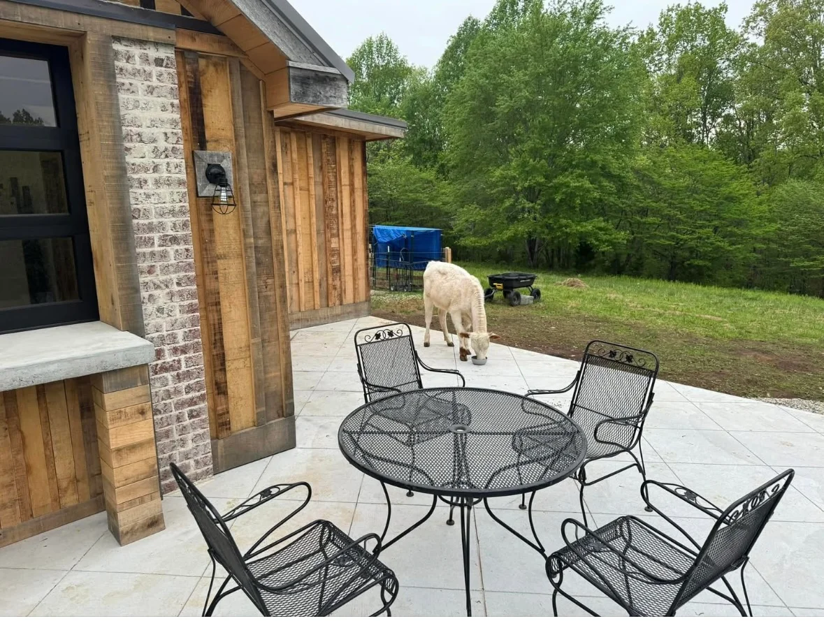 Concrete patio with metal dining furniture overlooking wooded backyard